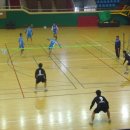 팔마체육관 이미지