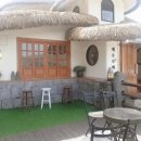 제주도화 이미지