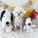 꼬맹이네 멍발소 이미지