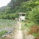 무봉농장 이미지