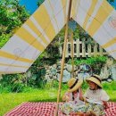 다감농원 이미지