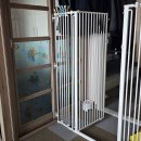 포레스트 캣호텔 이미지