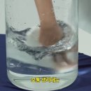 꿈나무환경교실 이미지