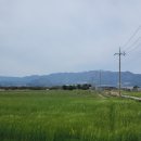 해송하우스 앞 Daum카페
