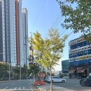 석이비인후과의원 이미지