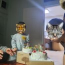 보덕어린이집 이미지