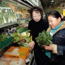 양식조리사 자격증 이미지