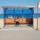 주-008-현대방앗간앞03(회) | 강릉 여행 1박2일 코스