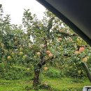 소백산 준 스테이 이미지