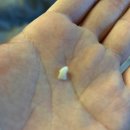 오라고동물병원 이미지