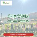 미예뜰유치원 이미지