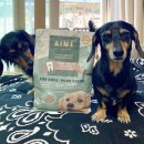 주식회사 데이원 이미지