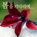 소망의친구들도서관 이미지