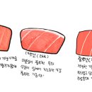 참치여행 이미지