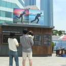 부산해운대경찰서 이미지