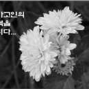 ▶◀ 부고 공지 - 클라크[이진호],제프리마[마세걸]친구의 아버님께서 3주전 심장마비로...ㅠㅠ 이미지