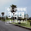 평화부동산공인중개사사무소 | [제주 단독주택 매매] 서귀포 먼바다 조망 남원읍 3억 대마당 넓고 넉넉한 드레스룸 품은 신축 타운...