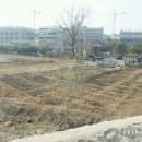 이천사거리 이미지