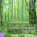 암, 아토피, 고혈압, 우울증, 스트레스, 건강회복과 치유를 숲에서 ~ 힐링치유숲길 이미지