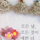 라센느디자인 네이버블로그