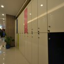 스타 스크린 골프존 이미지