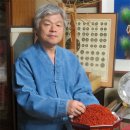 홍염장(무형) 세계타임즈