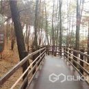 청남대 무장애나눔길조성 국제뉴스