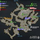 소리의 숲 이미지