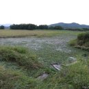 장매마을 이미지