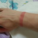 보성읍 강산새마을경로당 | 2일차.