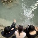 [세부] 로컬페이지 오슬롭 + 모알보알 조인투어 후기 (내돈내산)