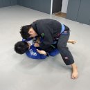 팀매드청주 이미지