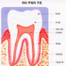 [펌] 이 편한 세상, 이빨 편한 세상! | 치위생 2005/03/27 21:33 -이미지첨부 이미지