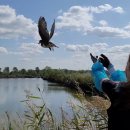 자연의 품 이미지