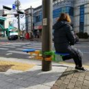 신호대기 횡단보도 이미지