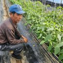 백세시대 이미지