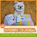 다나펫 이미지