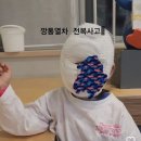 현재 인스타에서 난리난 깡통열차 전복사고 ㄷㄷㄷ. gif 이미지