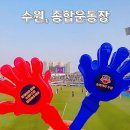 목동종합운동장(10번게이트, 남문) | 수원 놀거리 K리그 승강전 축구 직관 후기 (수원종합운동장 주차, 좌석)