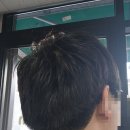 이배재로 177-6 이미지