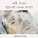 오징어파는언니
