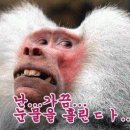 학우 이미지