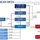 인적분할 후, 폭락만 거듭하는 삼성에피스홀딩스 이미지