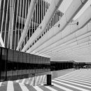 (주)영창약품 이미지