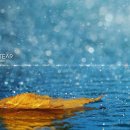 ◆Aphrodite's Child - Rain and Tear (Piano) 이미지