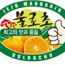 제주감귤농업