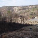 용미1리 이미지