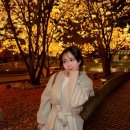 행복한모루도서관 나눔방 | 난 널 버리지 않아 너도 같은 생각이지?