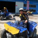 삼호초등학교 이미지