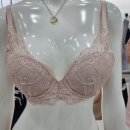 아쿠아몰드 이미지